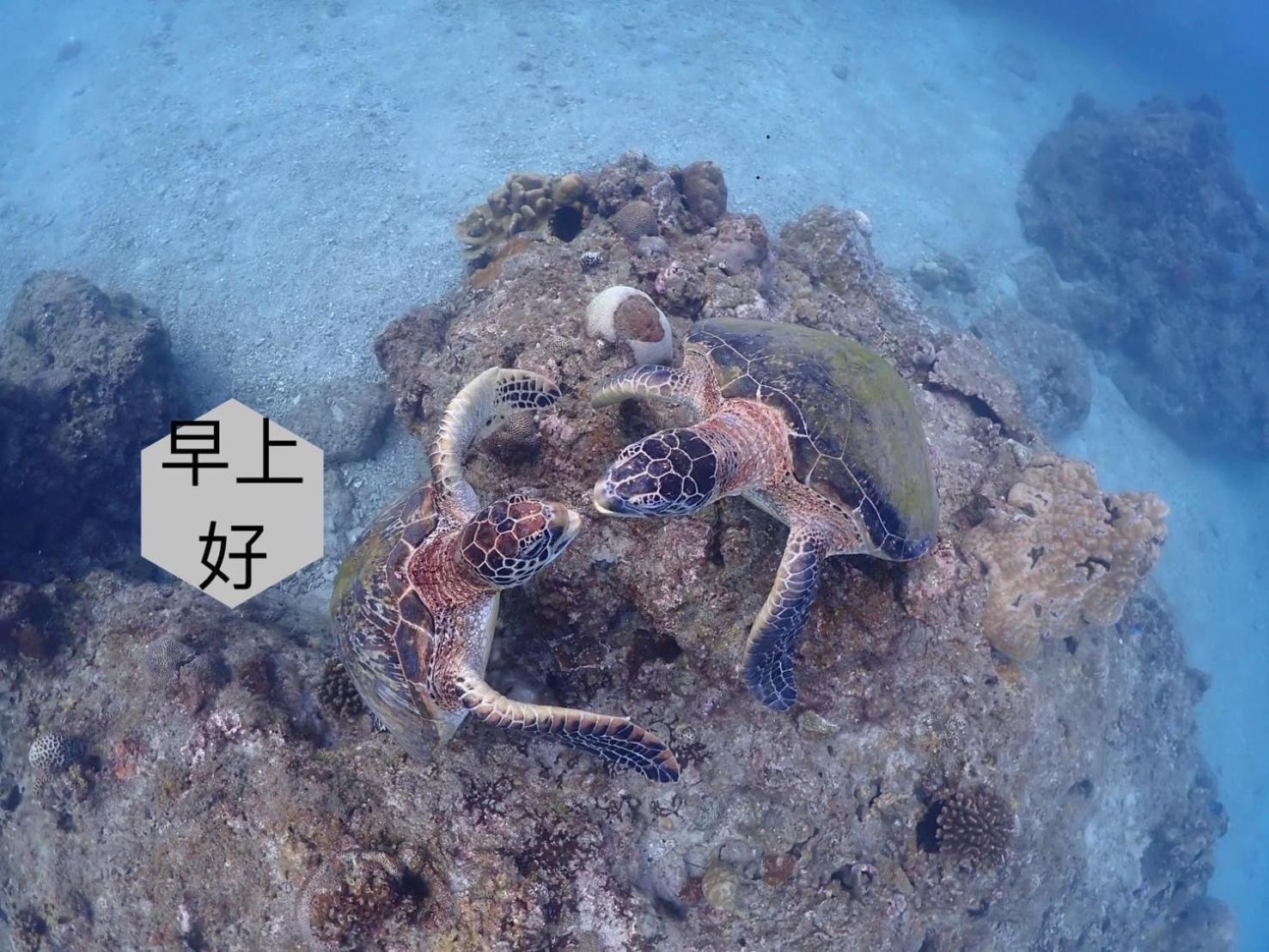 Draw Box Homestay 小琉球 エクステリア 写真